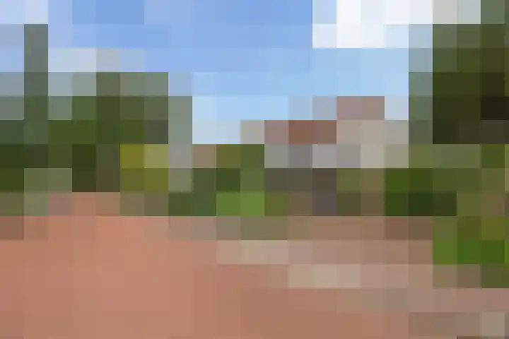 Dokter van Loonweg 11 Nunspeet thumbnail 30