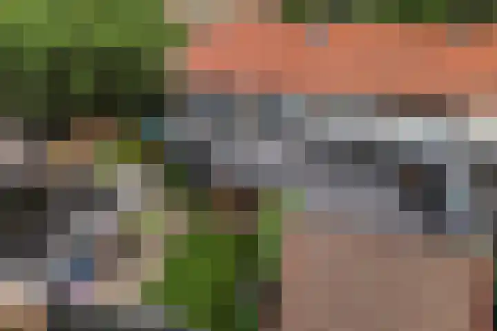 Dokter van Loonweg 11 Nunspeet thumbnail 31