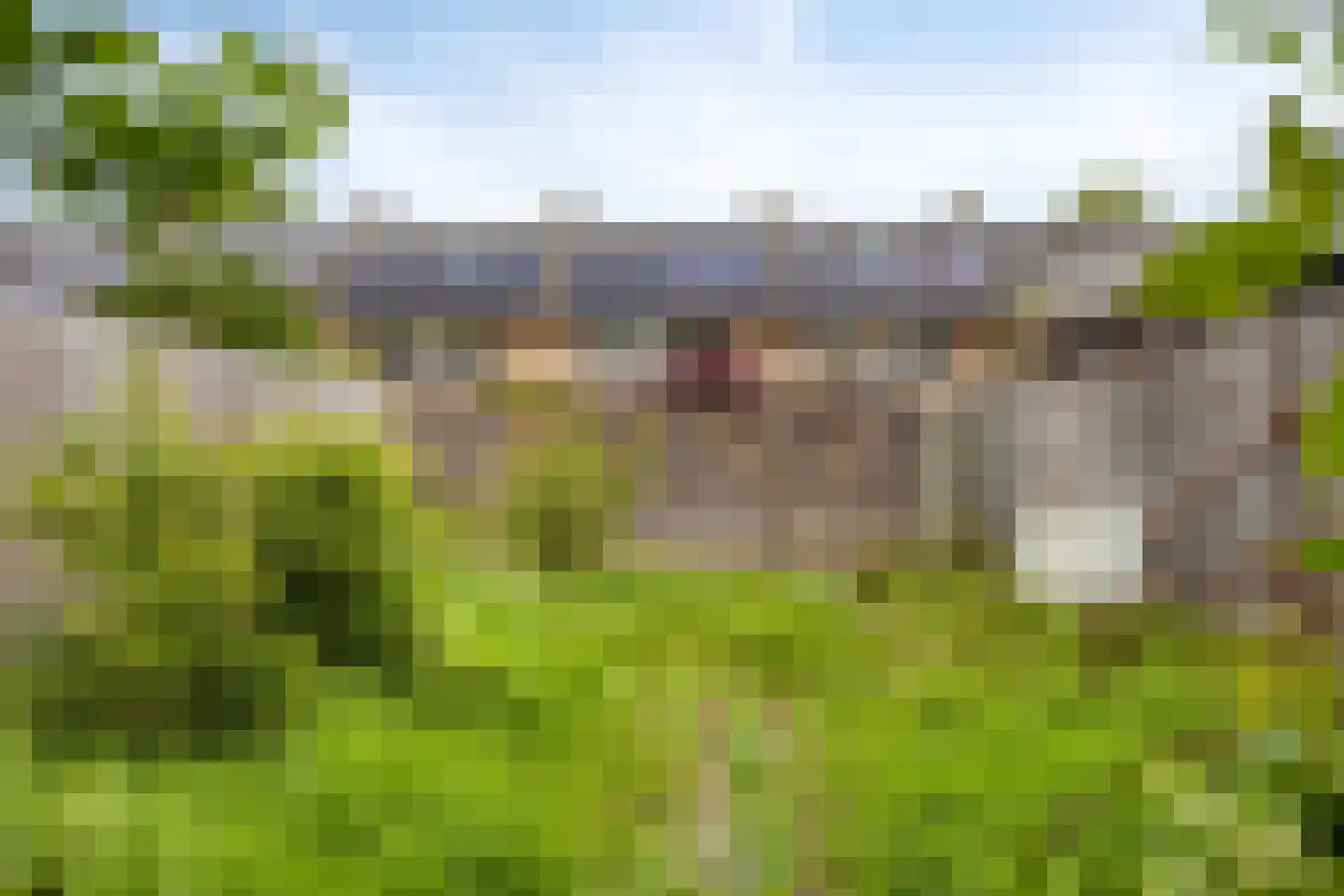 Dokter van Nieveltweg 10 Castricum thumbnail 10