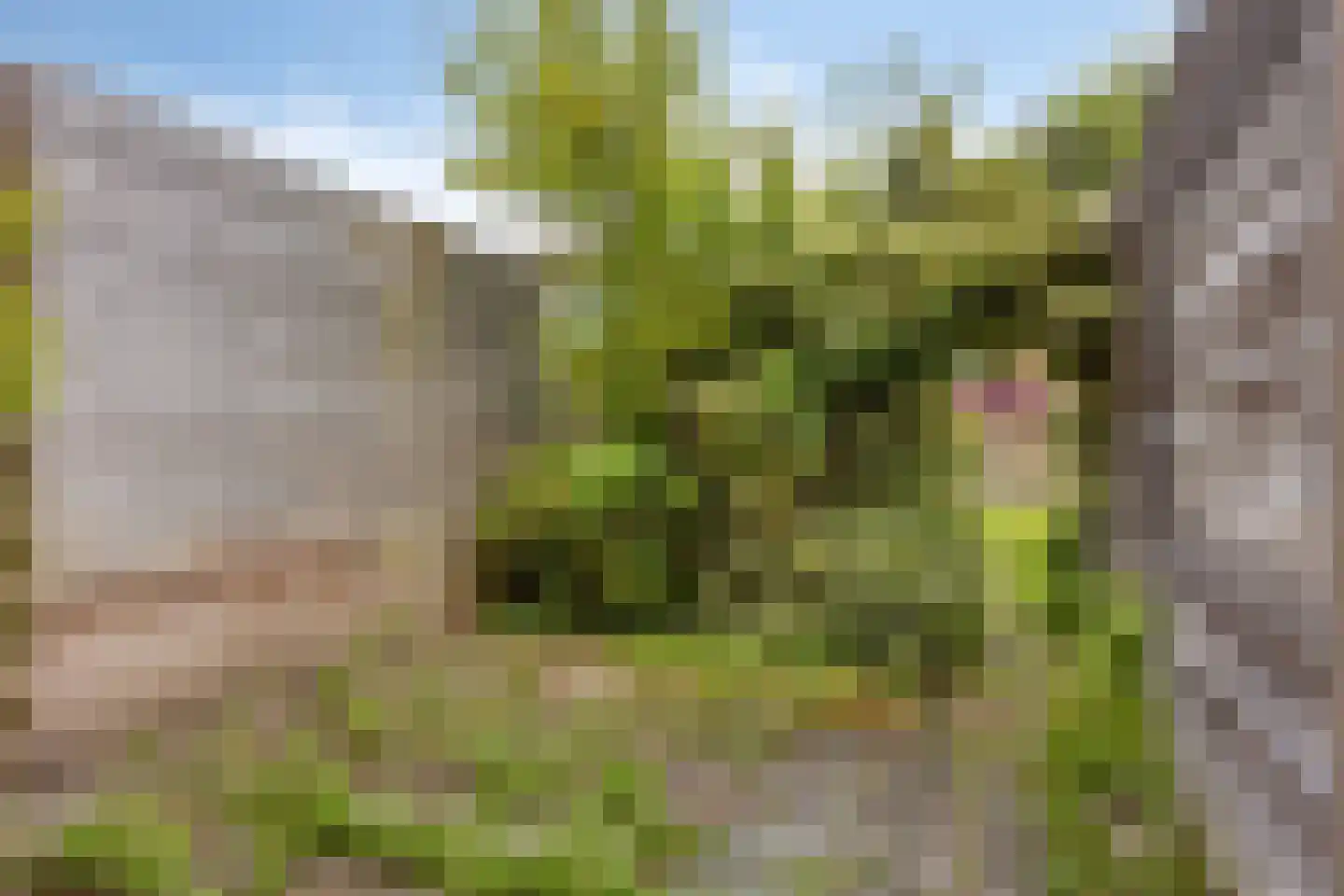 Dokter van Nieveltweg 10 Castricum thumbnail 13