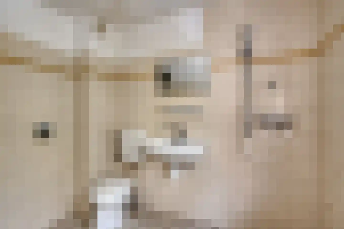 Dokter van Nieveltweg 10 Castricum thumbnail 24