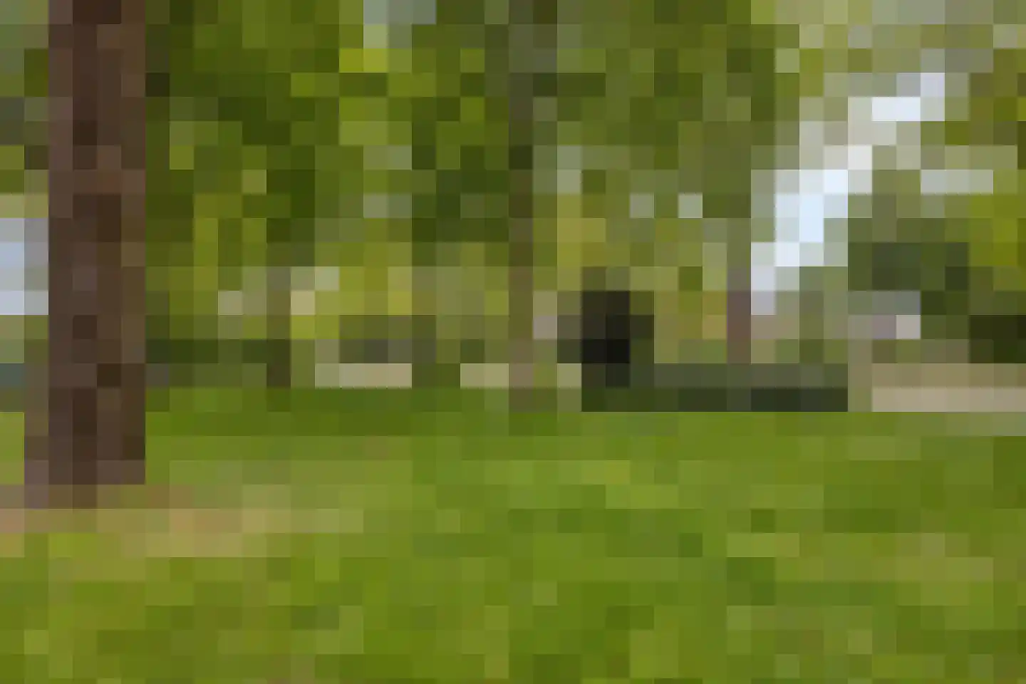 Dokter van Nieveltweg 10 Castricum thumbnail 33