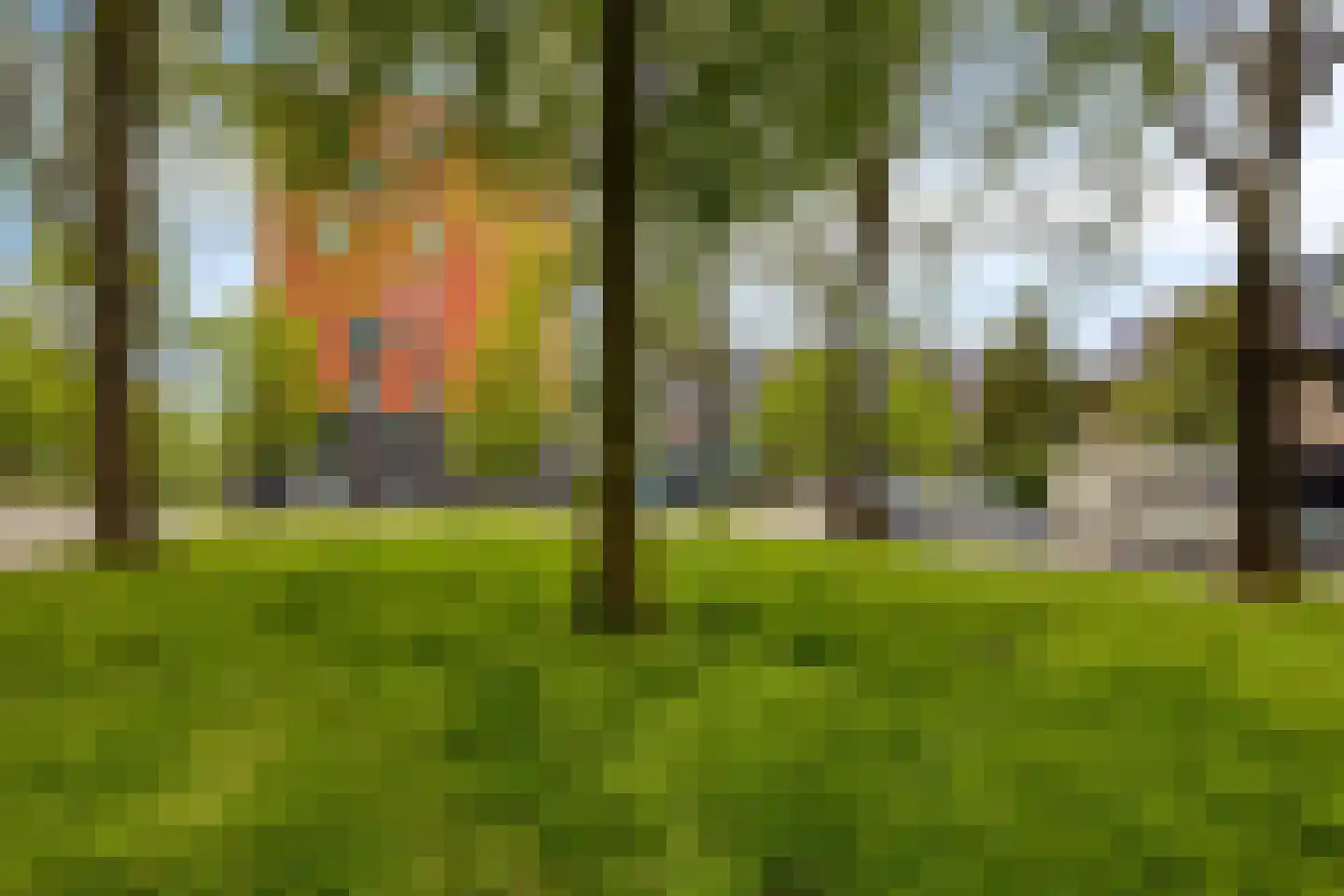 Dokter van Nieveltweg 10 Castricum thumbnail 34