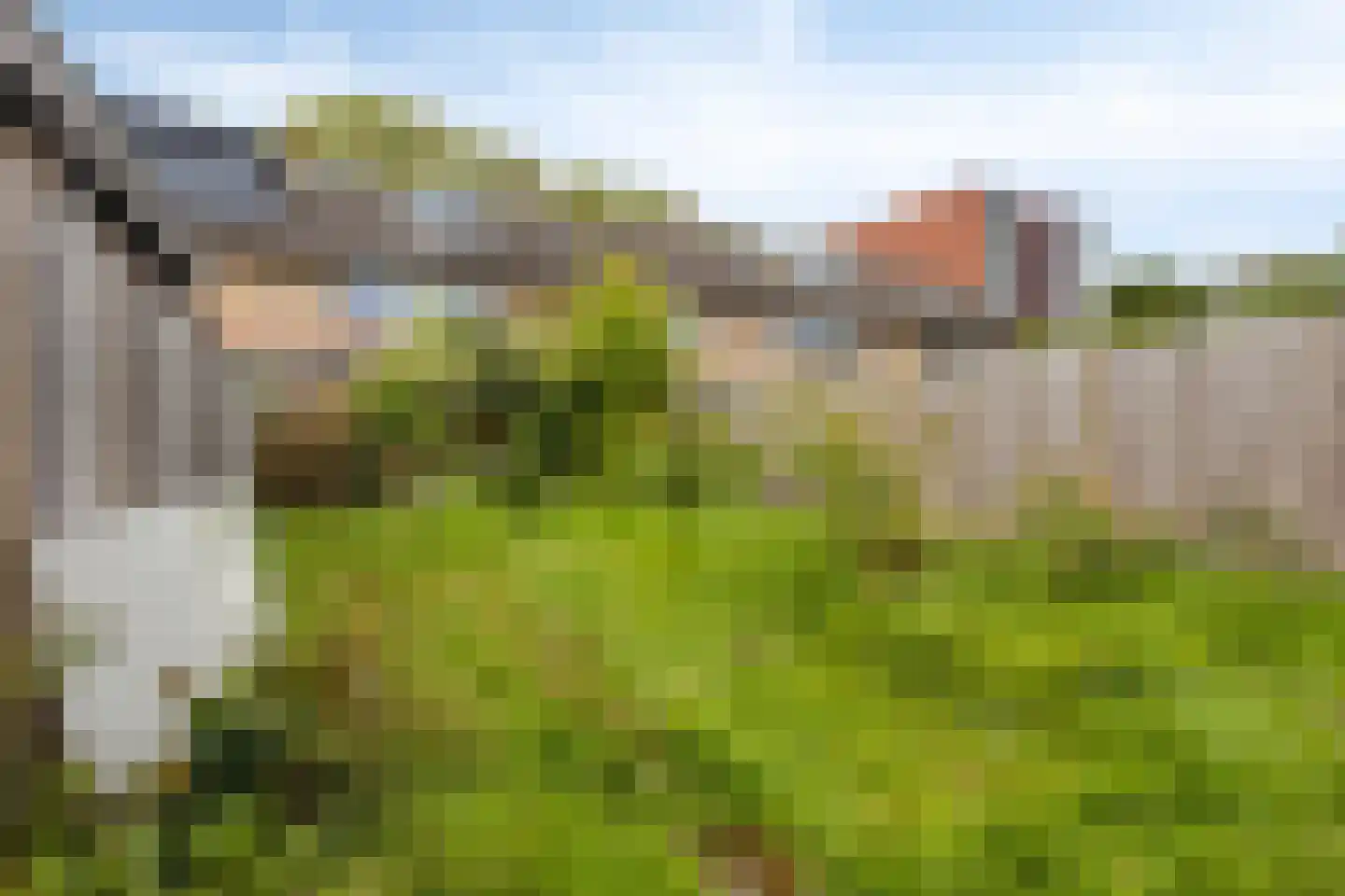 Dokter van Nieveltweg 10 Castricum thumbnail 9