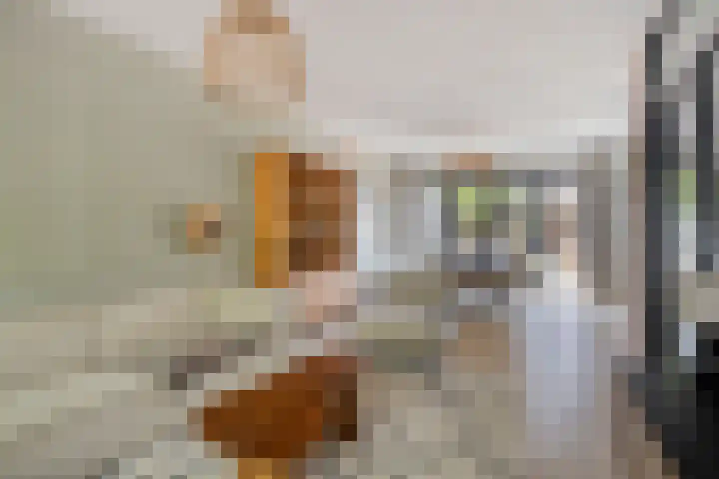 Dokter van Nieveltweg 6 Castricum thumbnail 10