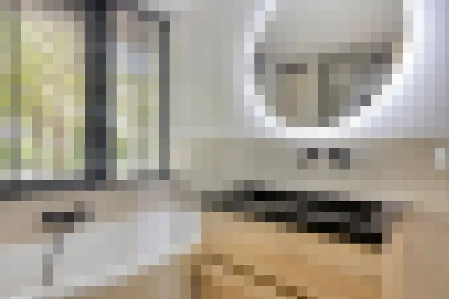 Dokter van Nieveltweg 6 Castricum thumbnail 28