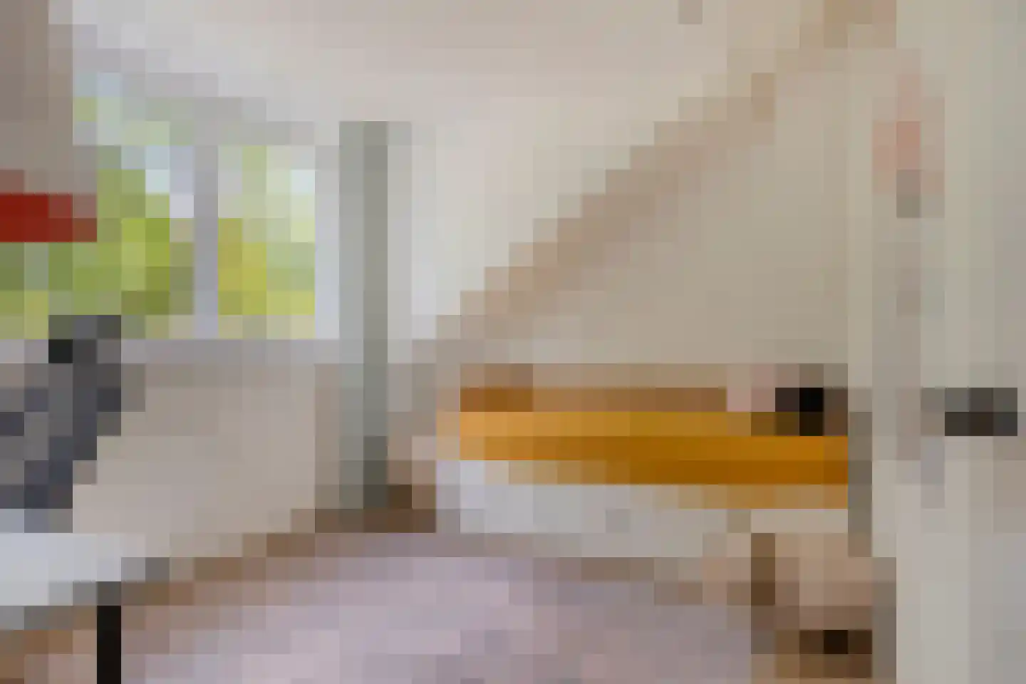 Dokter van Nieveltweg 6 Castricum thumbnail 35