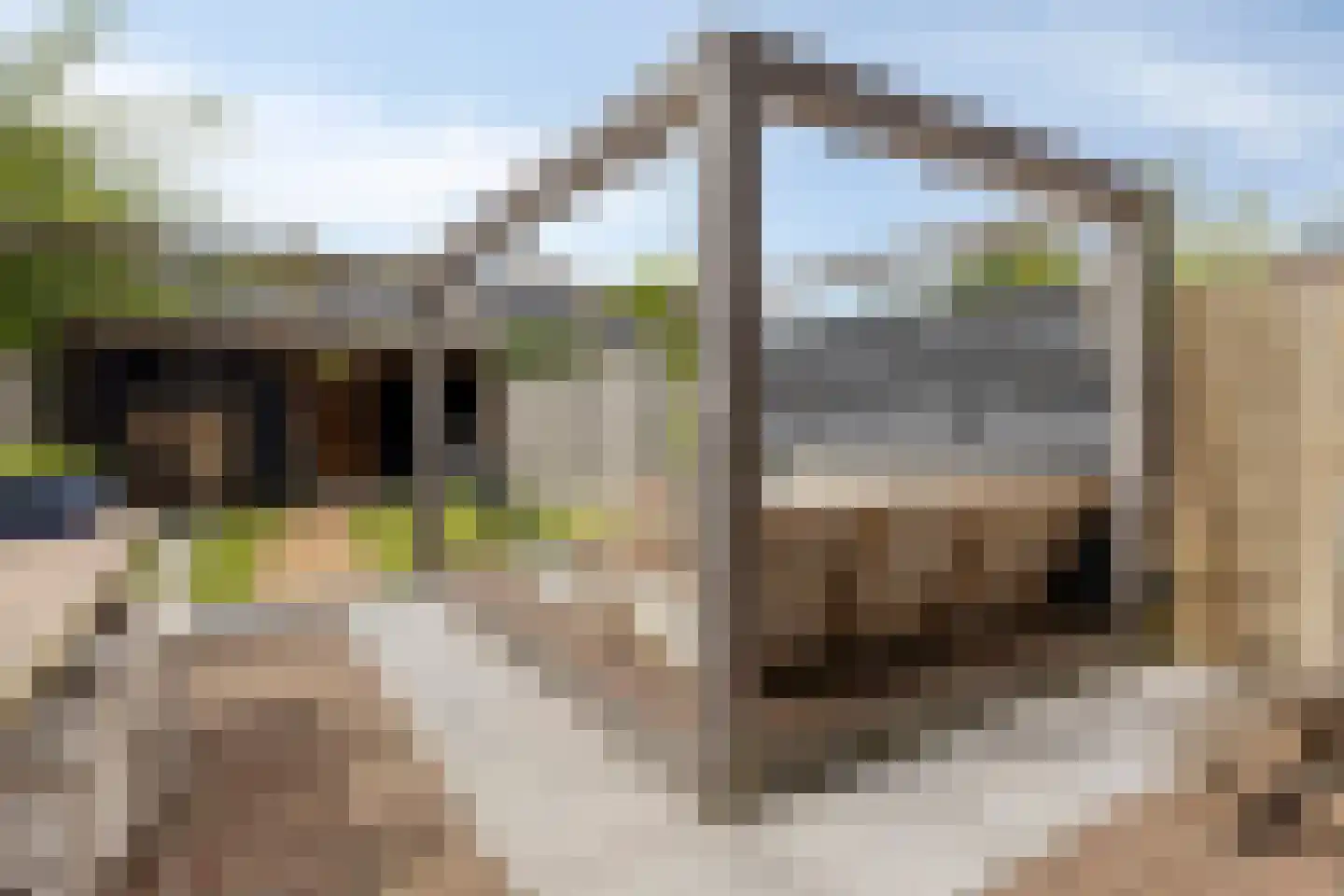 Dokter van Nieveltweg 6 Castricum thumbnail 39