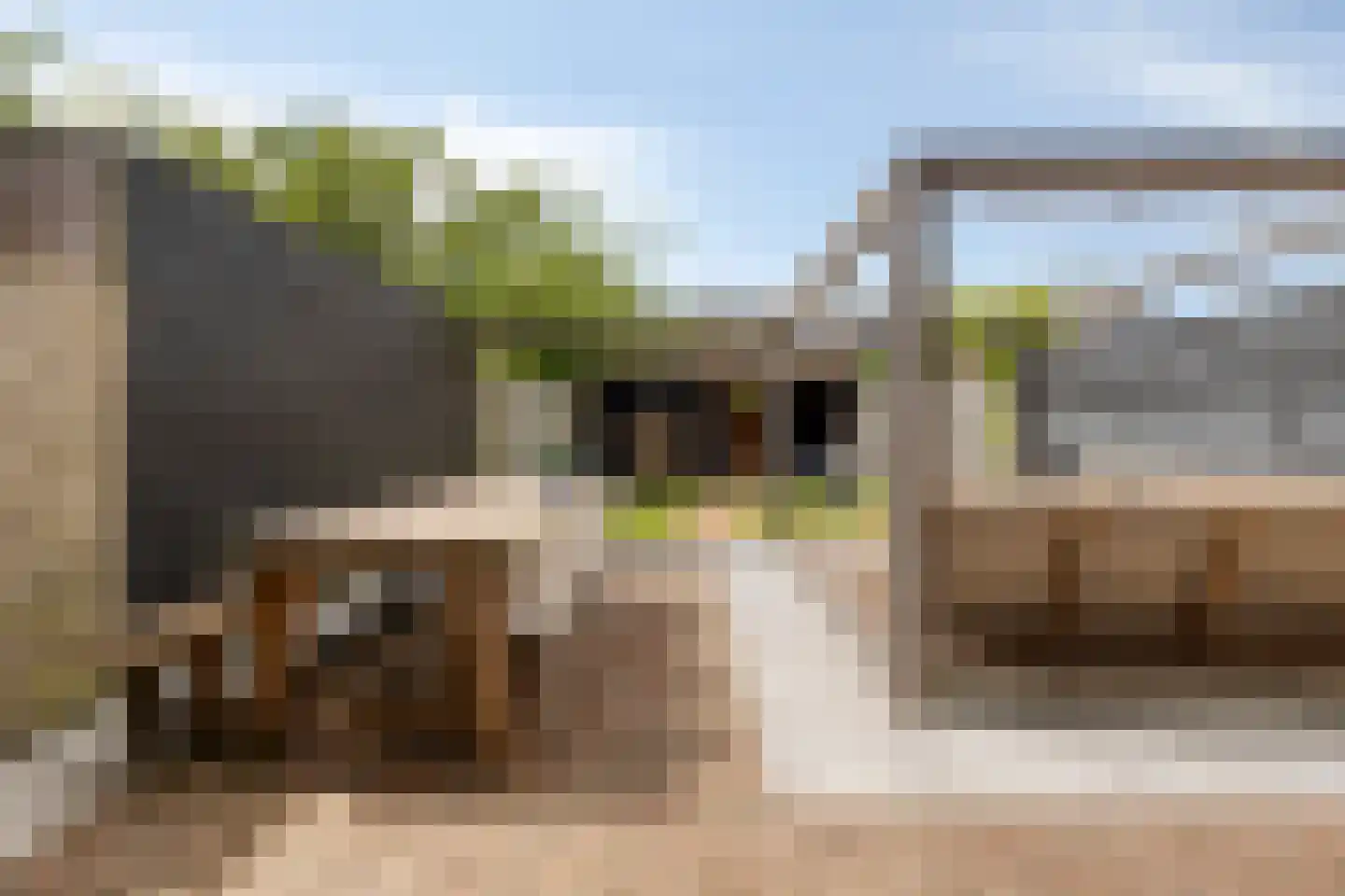 Dokter van Nieveltweg 6 Castricum thumbnail 4