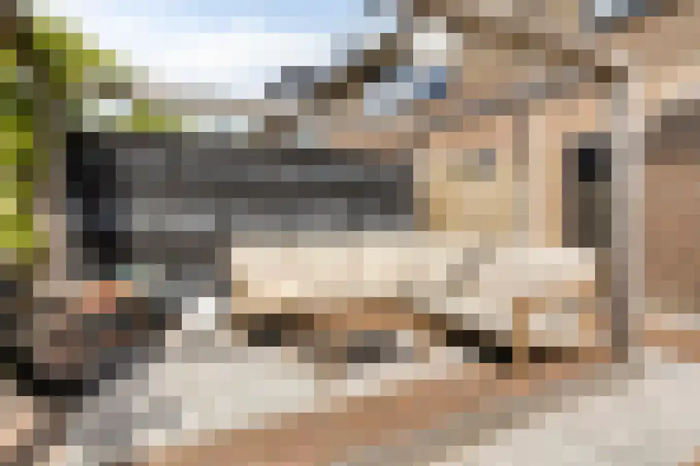 Dokter van Nieveltweg 6 Castricum thumbnail 43