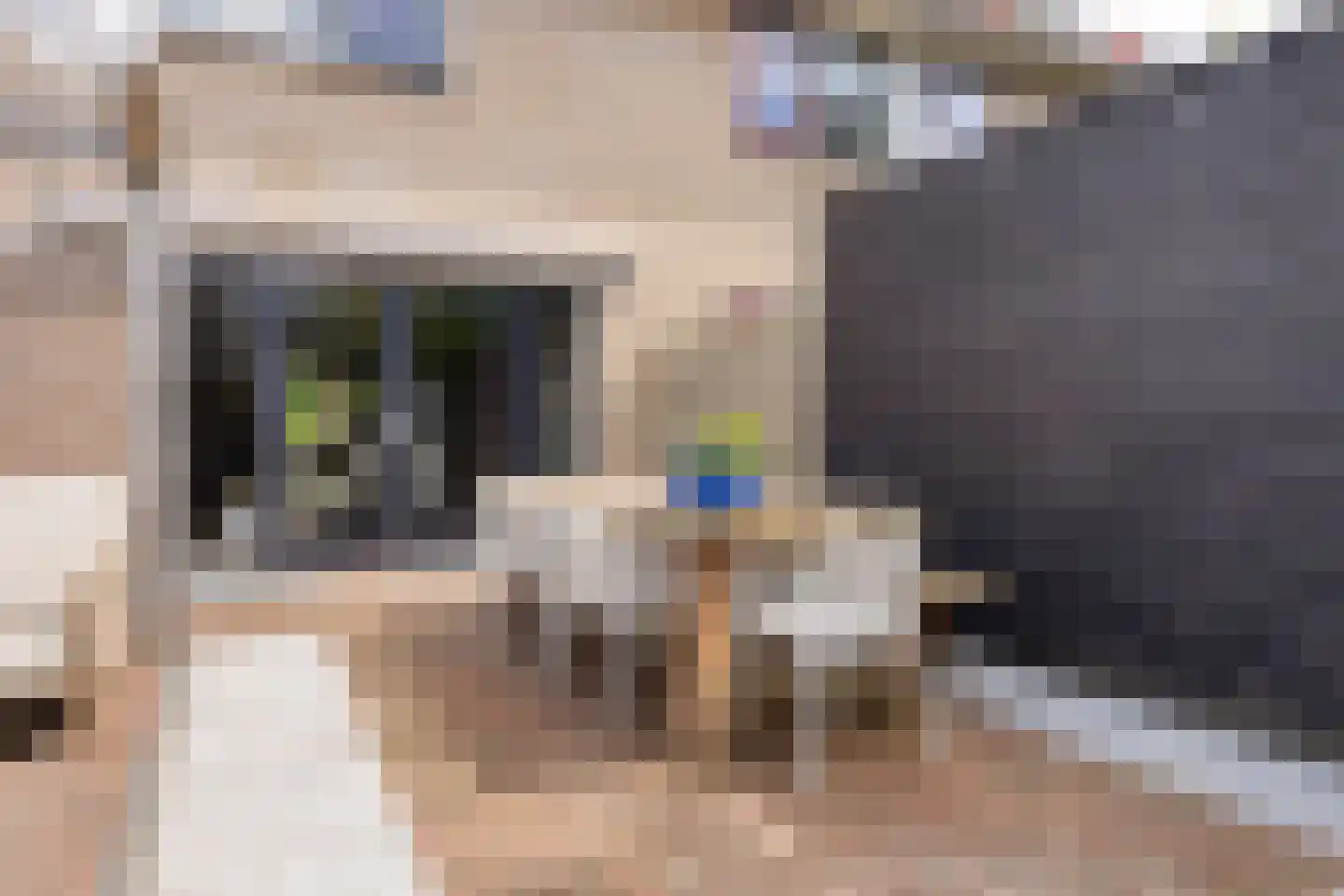 Dokter van Nieveltweg 6 Castricum thumbnail 44