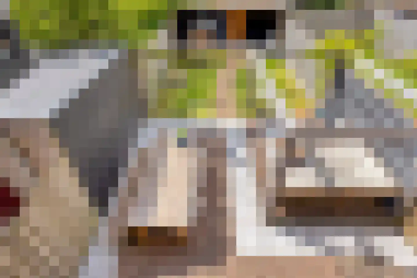 Dokter van Nieveltweg 6 Castricum thumbnail 47