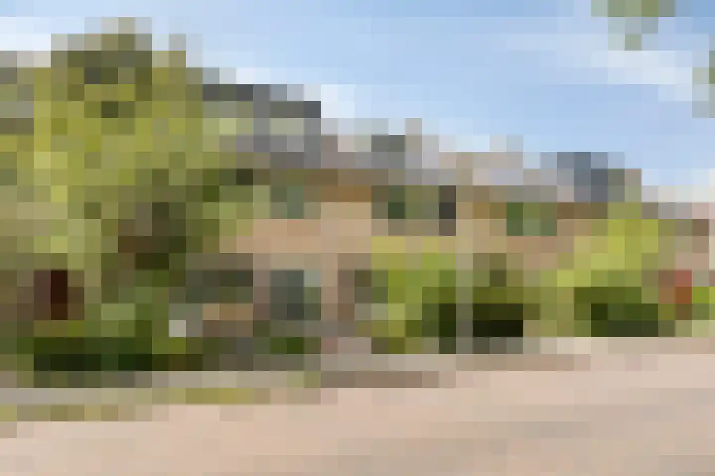 Dokter van Nieveltweg 6 Castricum thumbnail 5