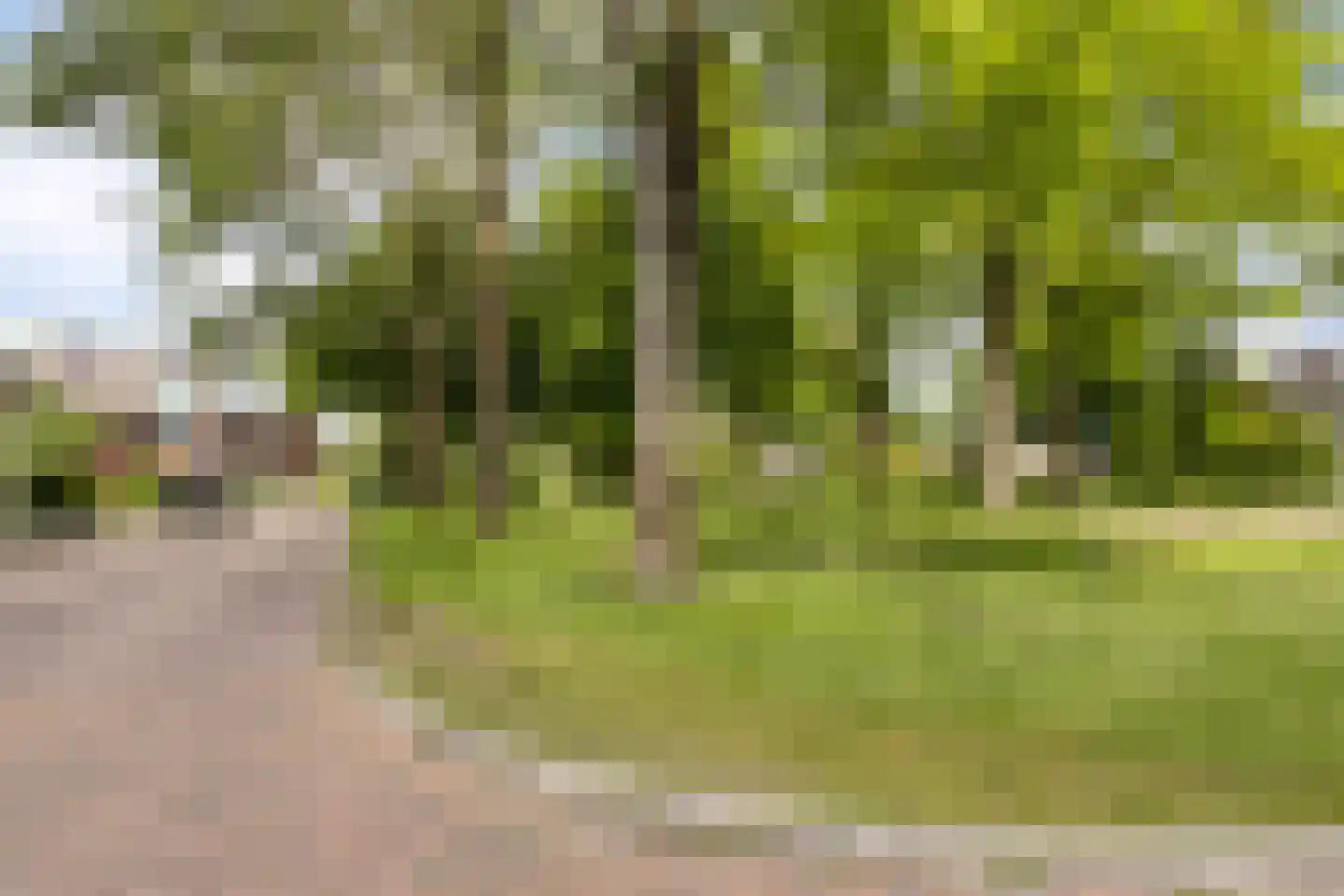 Dokter van Nieveltweg 6 Castricum thumbnail 52