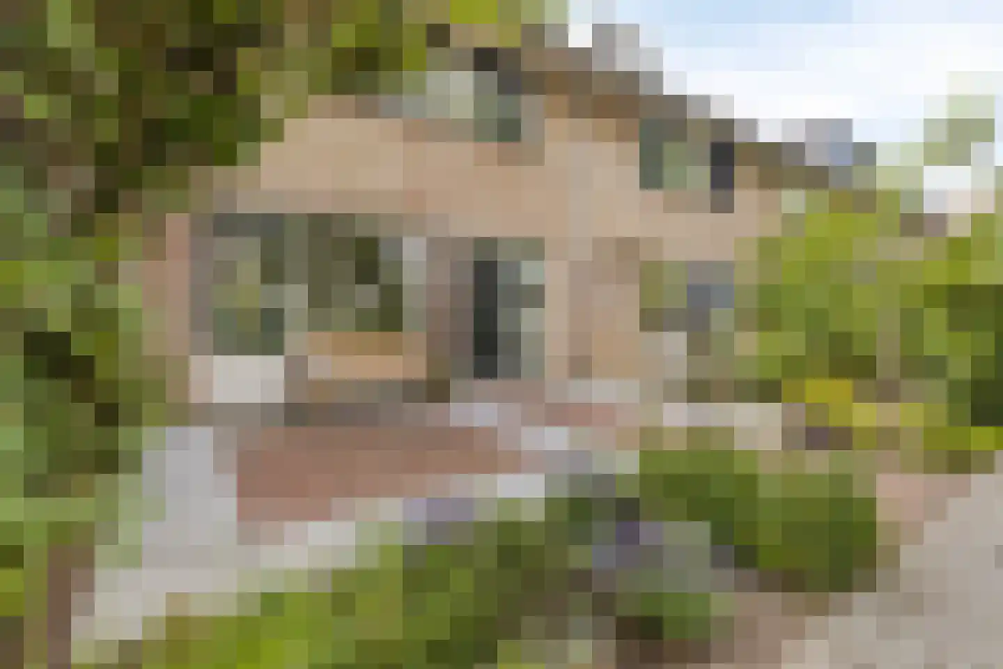 Dokter van Nieveltweg 6 Castricum thumbnail 6