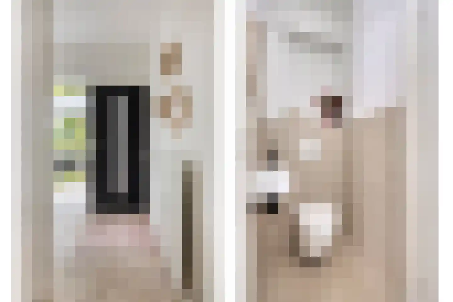 Dokter van Nieveltweg 6 Castricum thumbnail 8