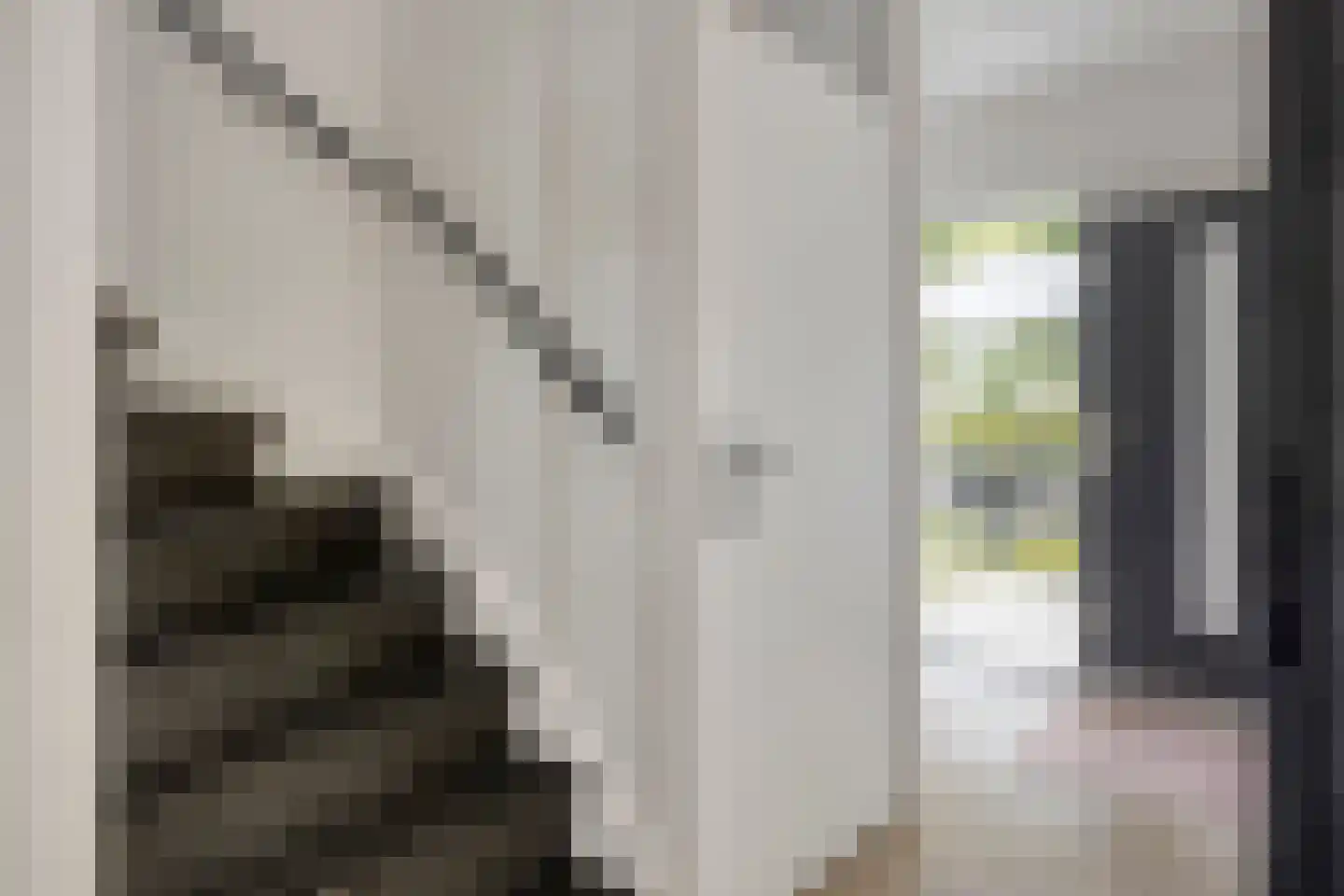 Dokter van Nieveltweg 6 Castricum thumbnail 9