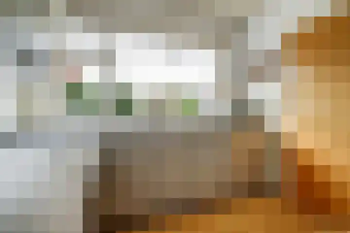 Dokter van Noortstraat 11 a Lienden thumbnail 10