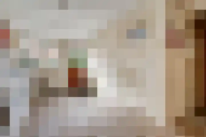 Dokter van Noortstraat 11 a Lienden thumbnail 20
