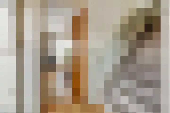 Dokter van Noortstraat 11 a Lienden thumbnail 26