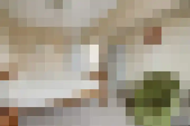 Dokter van Noortstraat 11 a Lienden thumbnail 29