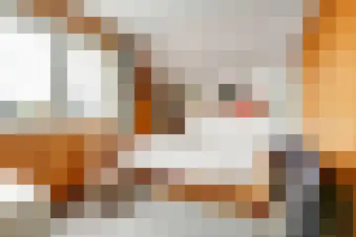 Dokter van Noortstraat 11 a Lienden thumbnail 33