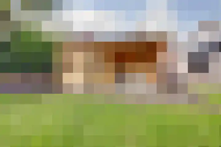 Dokter van Noortstraat 11 a Lienden thumbnail 38