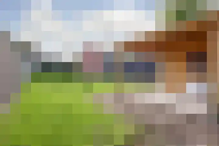 Dokter van Noortstraat 11 a Lienden thumbnail 40