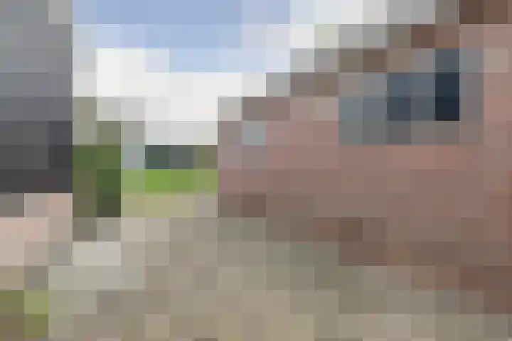 Dokter van Noortstraat 11 a Lienden thumbnail 41