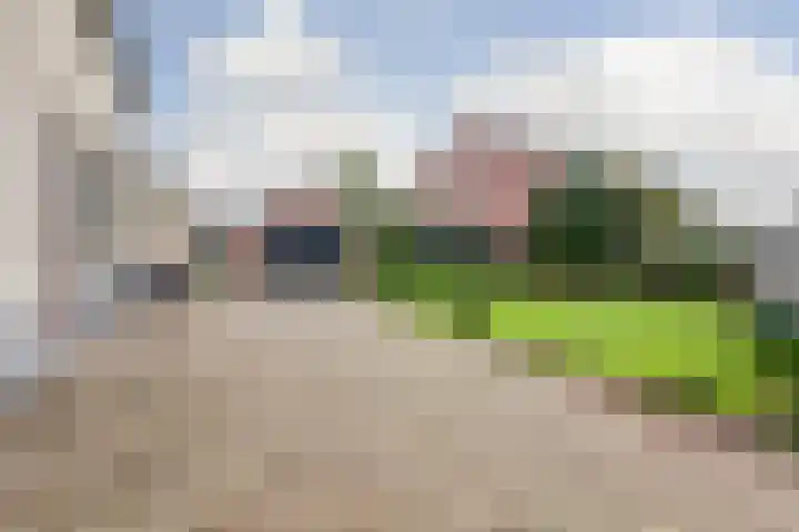 Dokter van Noortstraat 11 a Lienden thumbnail 47