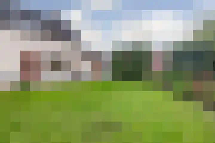 Dokter van Noortstraat 11 a Lienden thumbnail 48