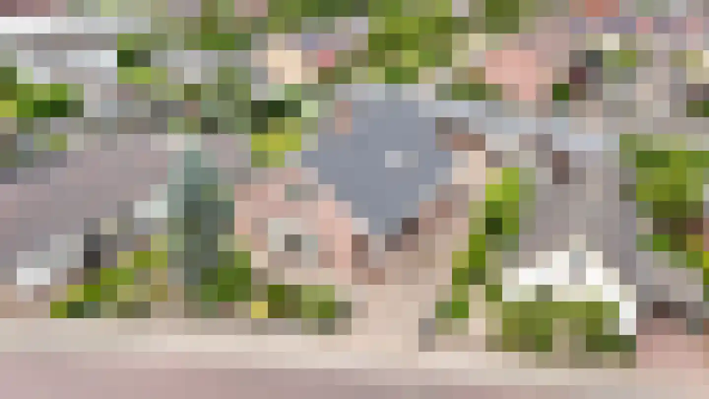 Dokter van Noortstraat 20 Lienden thumbnail 42