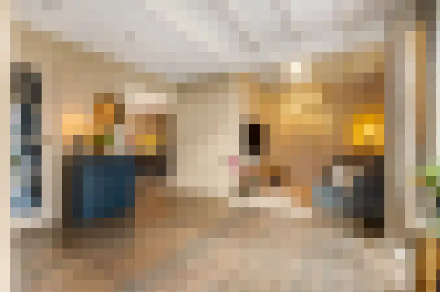 Dokter van Noortstraat 22 Lienden thumbnail 13