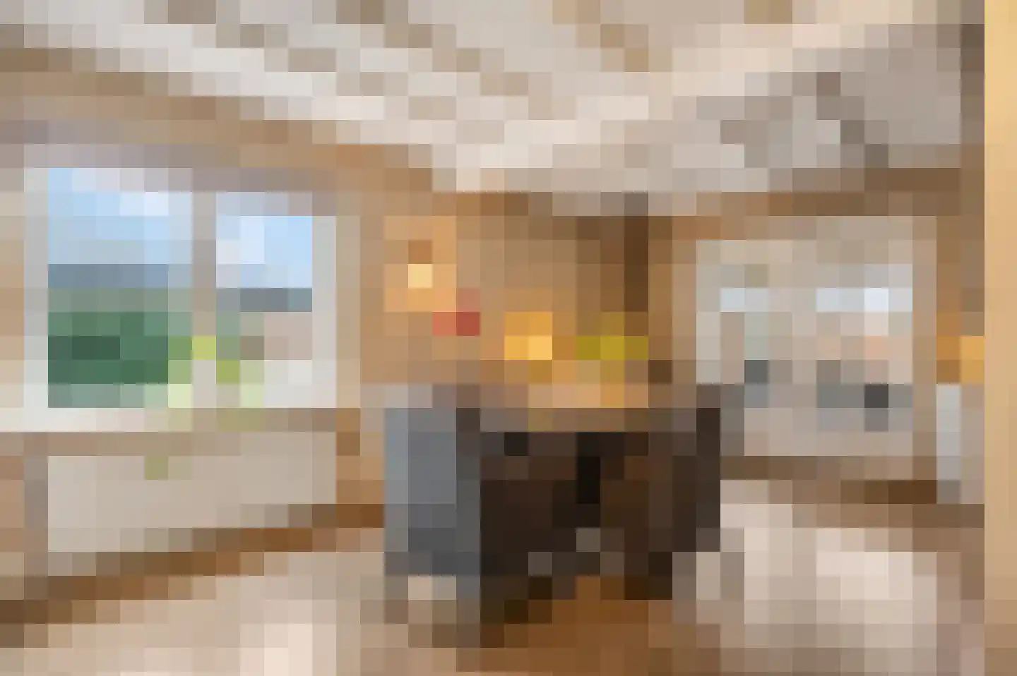 Dokter van Noortstraat 22 Lienden thumbnail 17