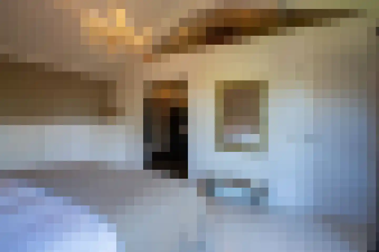 Dokter van Noortstraat 22 Lienden thumbnail 22