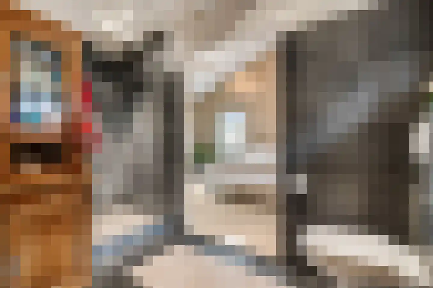 Dokter van Noortstraat 22 Lienden thumbnail 26