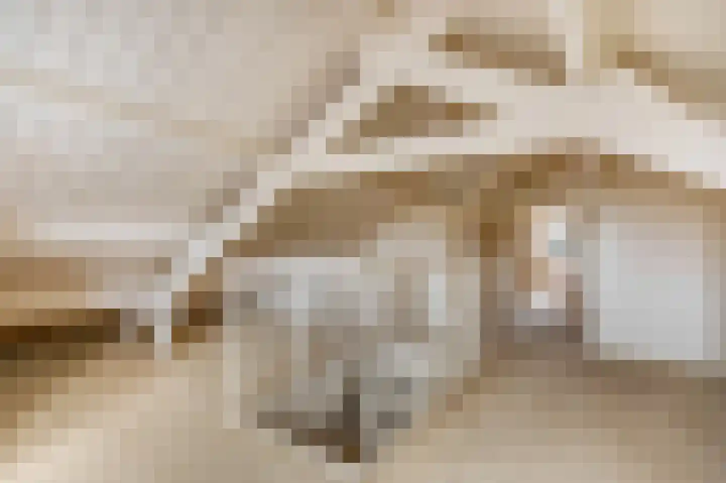 Dokter van Noortstraat 22 Lienden thumbnail 28