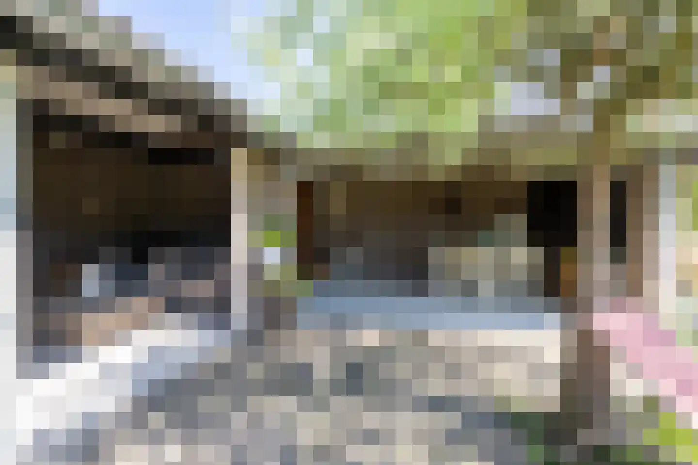 Dokter van Noortstraat 22 Lienden thumbnail 38