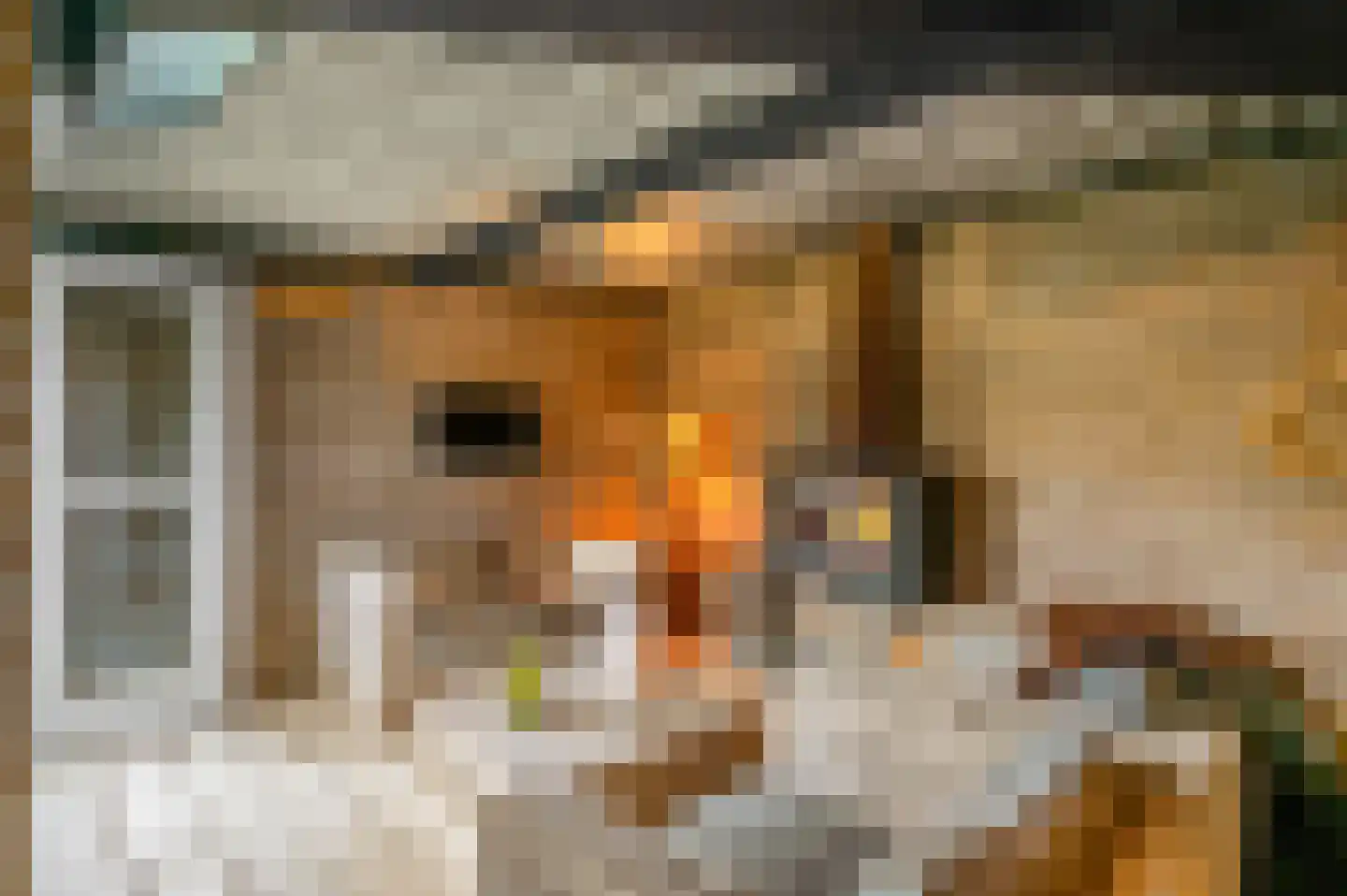 Dokter van Noortstraat 22 Lienden thumbnail 41