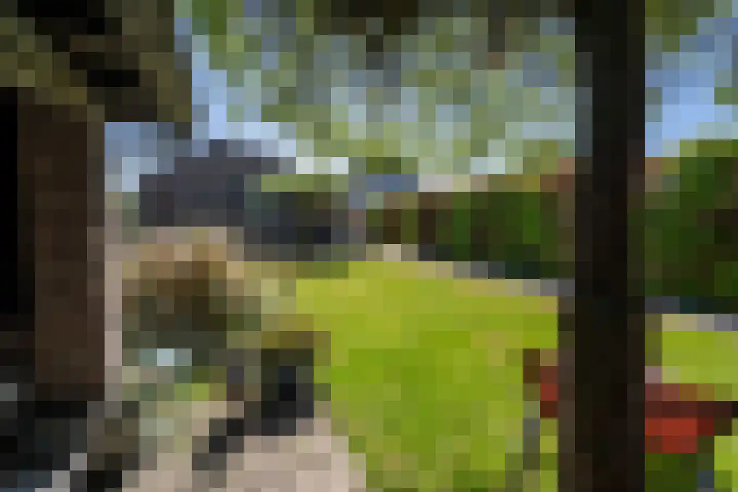 Dokter van Noortstraat 22 Lienden thumbnail 44