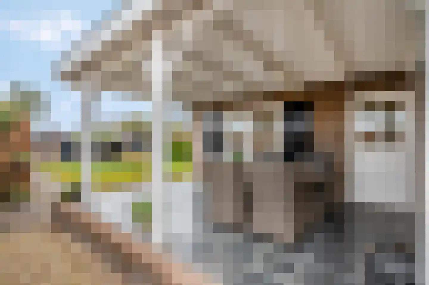Dokter van Noortstraat 22 Lienden thumbnail 45