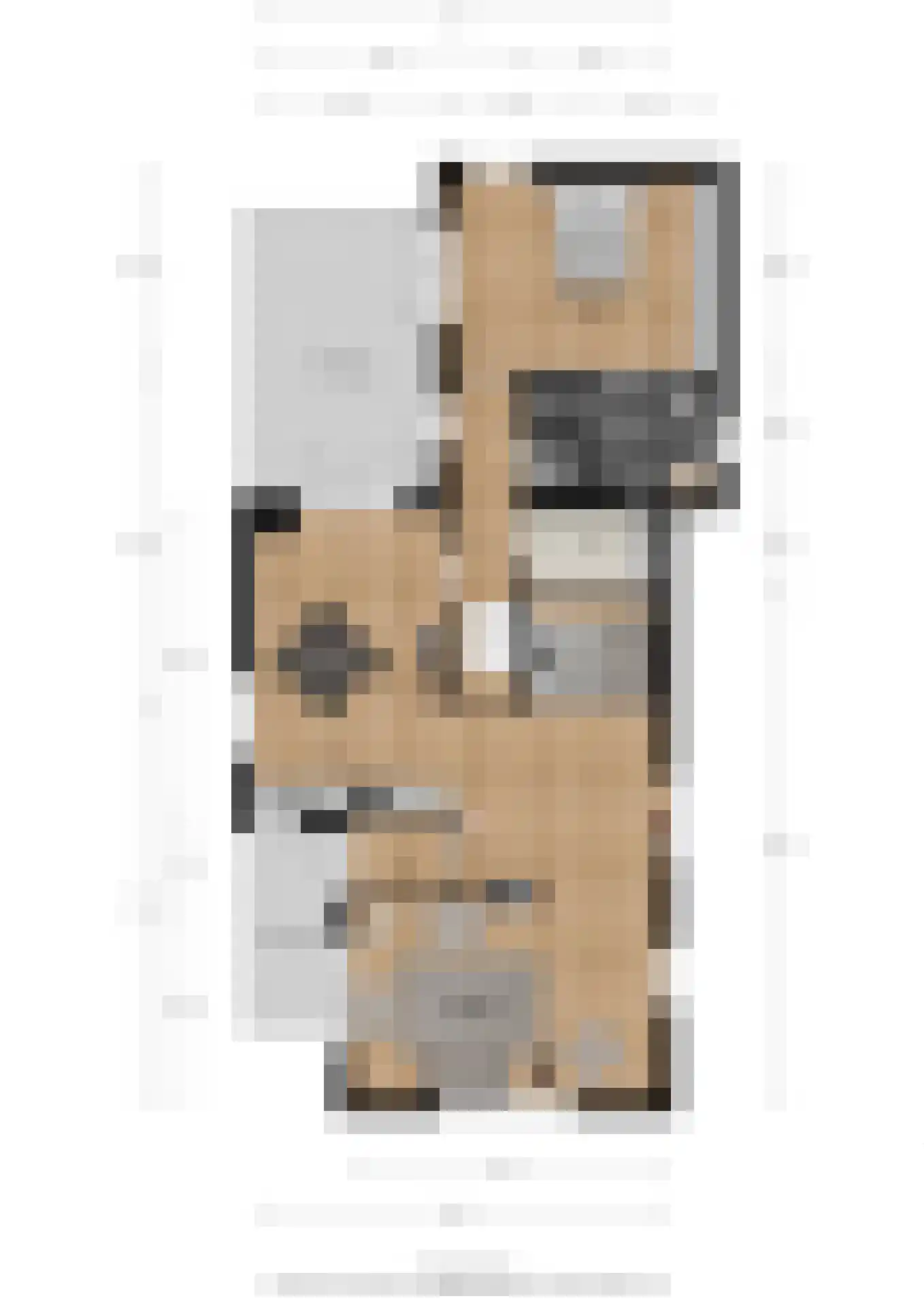 Dokter van Noortstraat 22 Lienden thumbnail 53