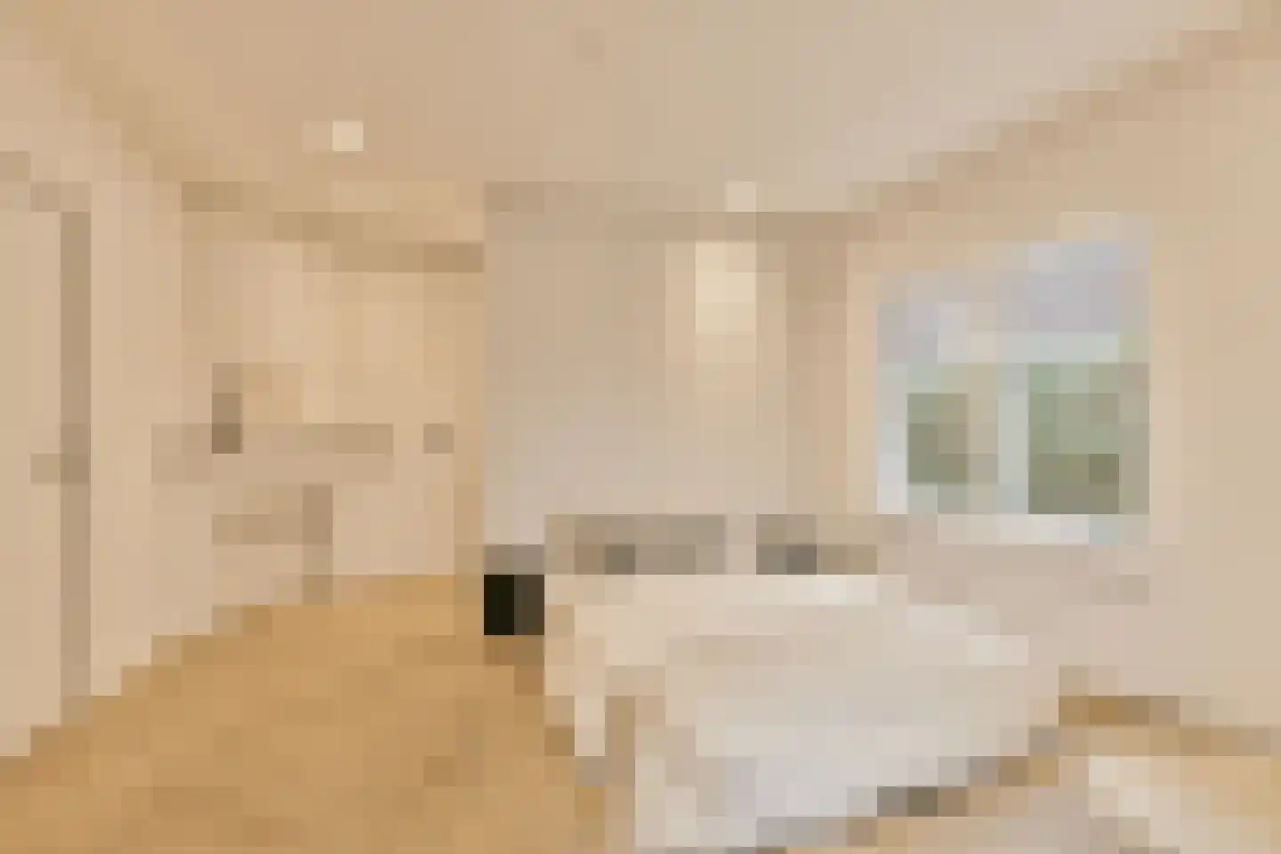 Dokter van Peltlaan 10 Bergen (NH) thumbnail 20