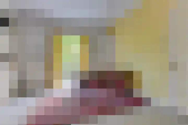 Dokter van Peltlaan 12 Bergen (NH) thumbnail 11