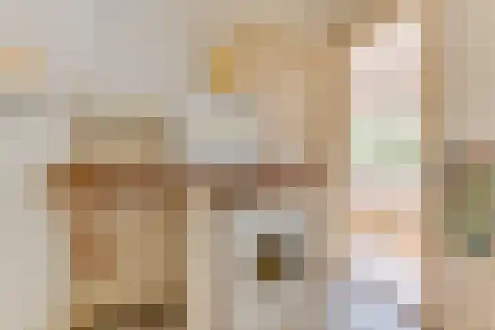 Dokter van Peltlaan 12 Bergen (NH) thumbnail 17