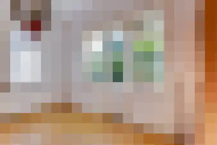 Dokter van Peltlaan 12 Bergen (NH) thumbnail 19