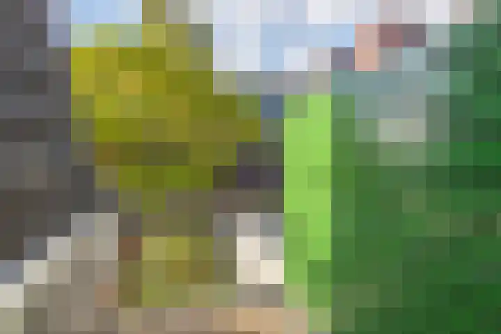 Dokter van Peltlaan 12 Bergen (NH) thumbnail 31