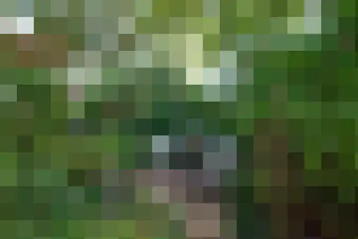 Dokter van Peltlaan 12 Bergen (NH) thumbnail 48