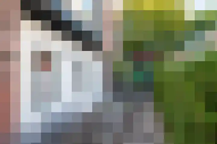 Dokter van Peltlaan 12 Bergen (NH) thumbnail 50