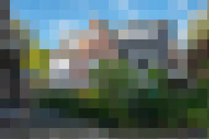 Dokter van Peltlaan 12 Bergen (NH) thumbnail 6